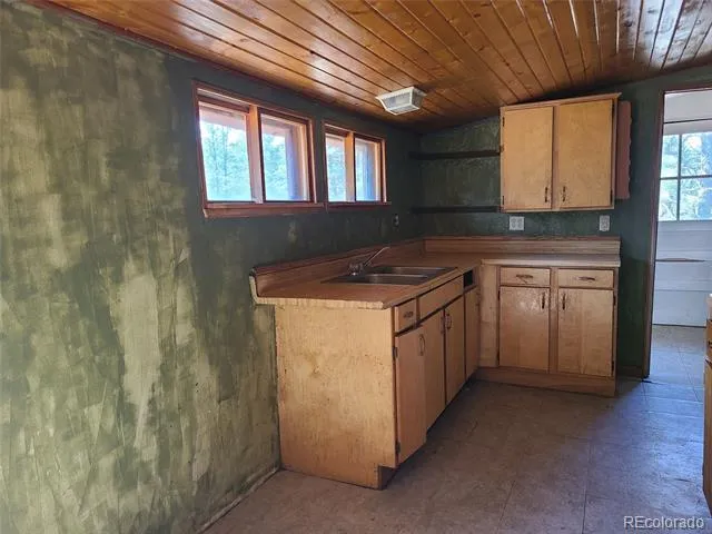23721 Summit Street Pine, CO 80470