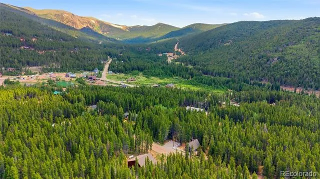 79 Beaver Road Idaho Springs, CO 80452