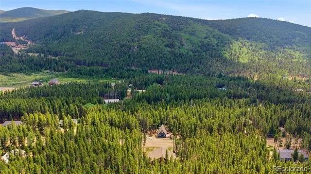 79 Beaver Road Idaho Springs, CO 80452
