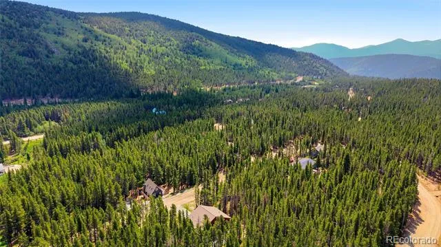 79 Beaver Road Idaho Springs, CO 80452