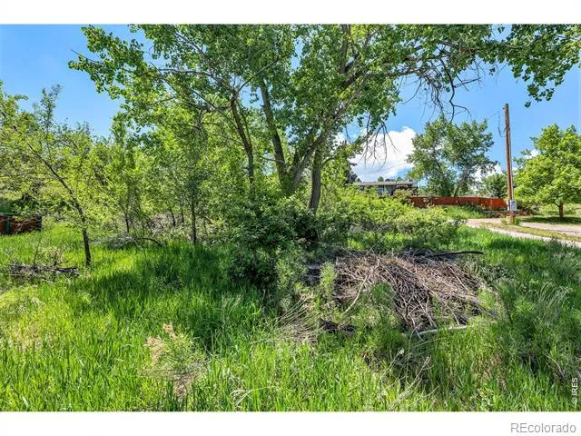4804 Foothills Drive Fort Collins, CO 80526