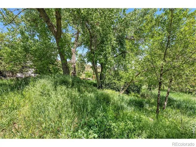 4804 Foothills Drive Fort Collins, CO 80526