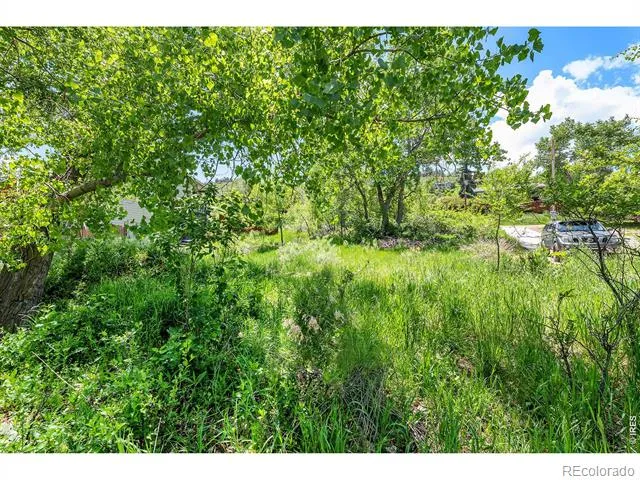 4804 Foothills Drive Fort Collins, CO 80526