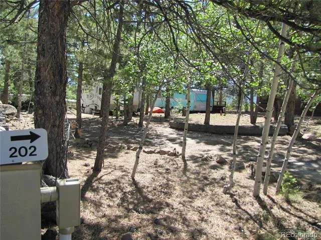 19 Lantern Loop Hartsel, CO 80449