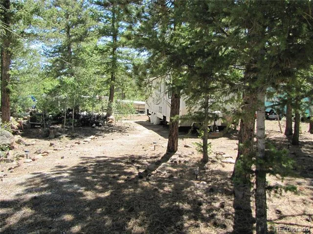 19 Lantern Loop Hartsel, CO 80449