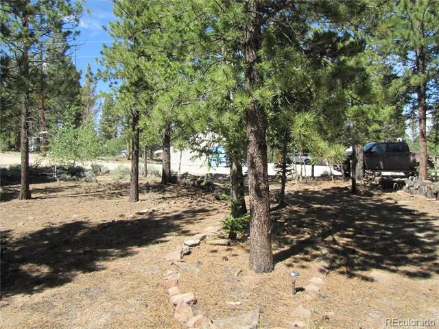 19 Lantern Loop Hartsel, CO 80449