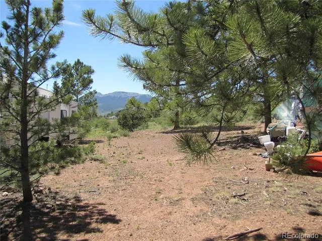 19 Lantern Loop Hartsel, CO 80449