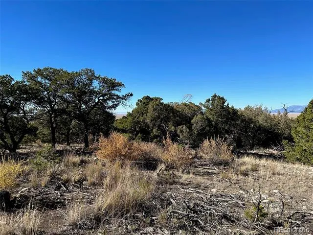 62 Mill Run Alamosa, CO 81101