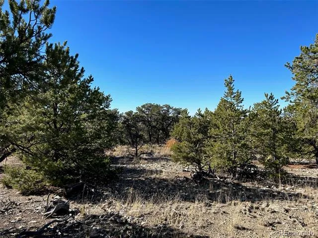 62 Mill Run Alamosa, CO 81101