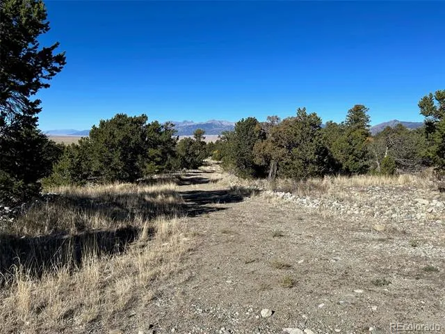 62 Mill Run Alamosa, CO 81101
