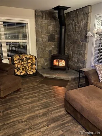 154 Brooklyn Circle Leadville, CO 80461