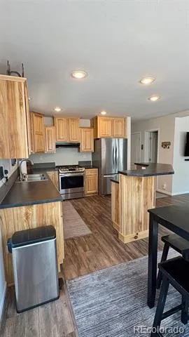 154 Brooklyn Circle Leadville, CO 80461