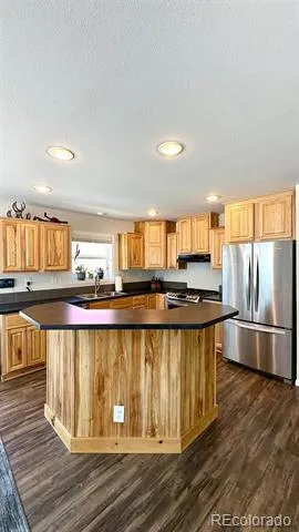 154 Brooklyn Circle Leadville, CO 80461
