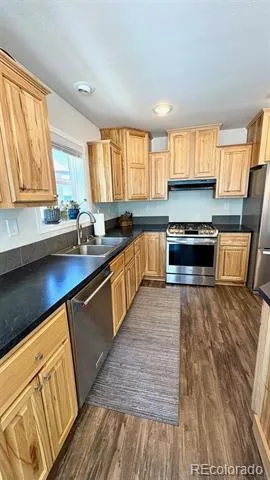 154 Brooklyn Circle Leadville, CO 80461