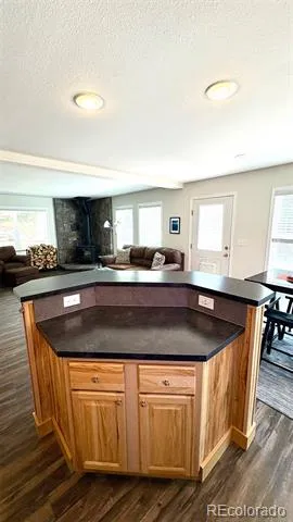 154 Brooklyn Circle Leadville, CO 80461