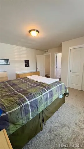 154 Brooklyn Circle Leadville, CO 80461