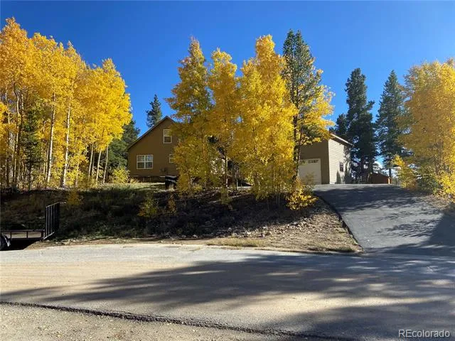 154 Brooklyn Circle Leadville, CO 80461