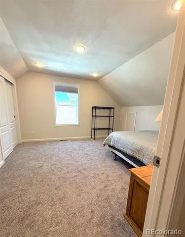 154 Brooklyn Circle Leadville, CO 80461