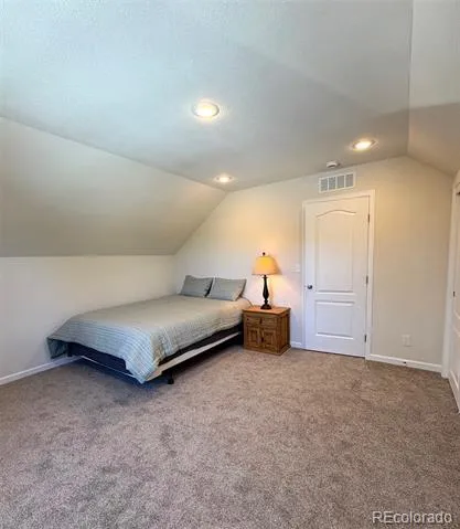 154 Brooklyn Circle Leadville, CO 80461