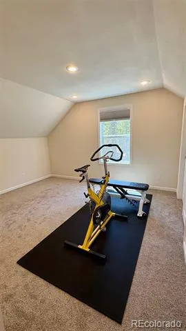 154 Brooklyn Circle Leadville, CO 80461