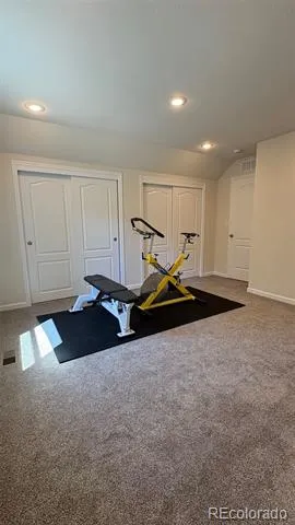 154 Brooklyn Circle Leadville, CO 80461
