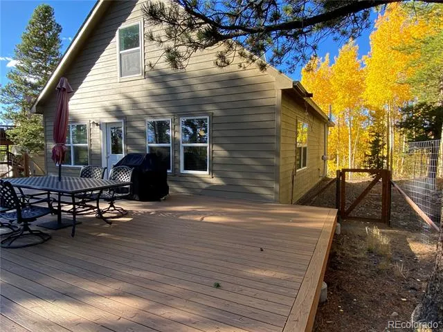 154 Brooklyn Circle Leadville, CO 80461