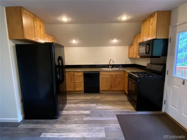 154 Brooklyn Circle Leadville, CO 80461