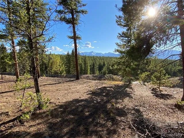 154 Brooklyn Circle Leadville, CO 80461