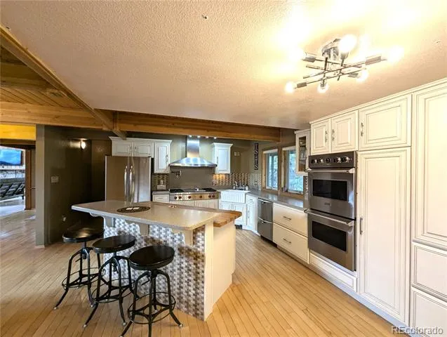 2540 Biel Place Fort Garland, CO 81133