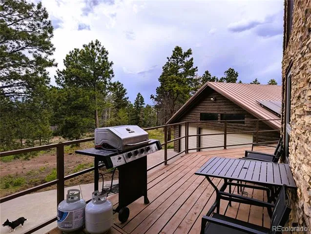 2540 Biel Place Fort Garland, CO 81133