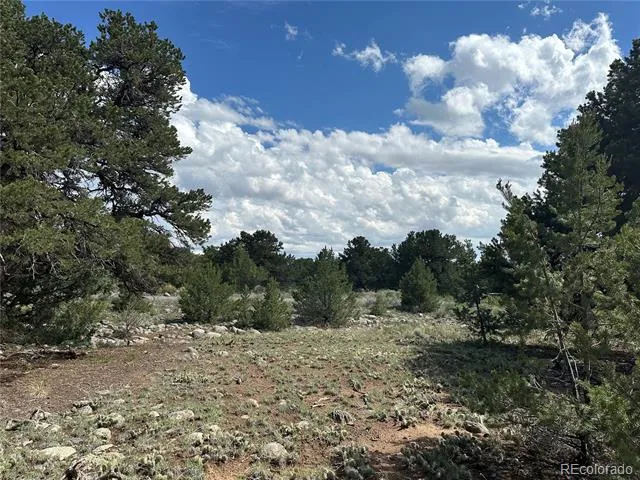 3694 Enchanted Way Crestone, CO 81131