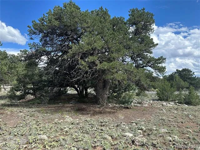 3694 Enchanted Way Crestone, CO 81131