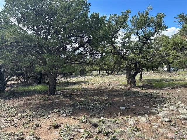 3694 Enchanted Way Crestone, CO 81131