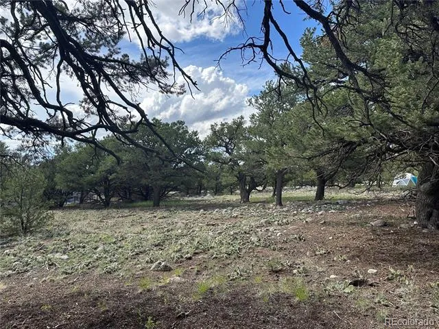 3694 Enchanted Way Crestone, CO 81131