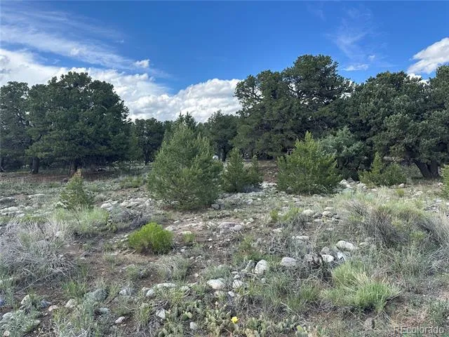 3694 Enchanted Way Crestone, CO 81131