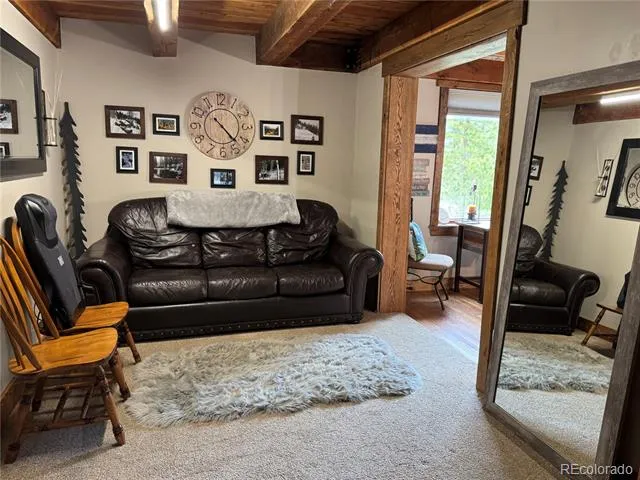1430 Lower Travis Gulch Road Black Hawk, CO 80422