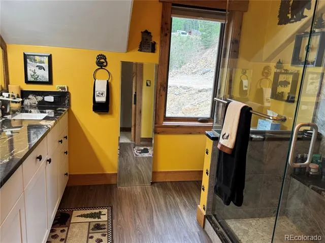 1430 Lower Travis Gulch Road Black Hawk, CO 80422