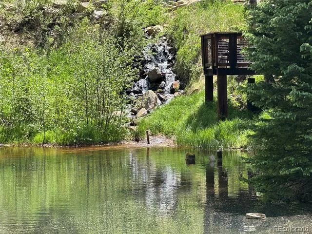 1430 Lower Travis Gulch Road Black Hawk, CO 80422