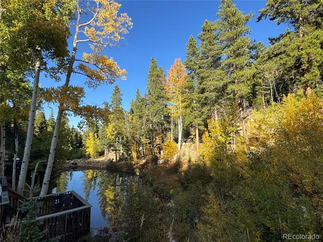 1430 Lower Travis Gulch Road Black Hawk, CO 80422