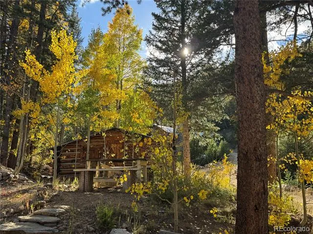 1430 Lower Travis Gulch Road Black Hawk, CO 80422