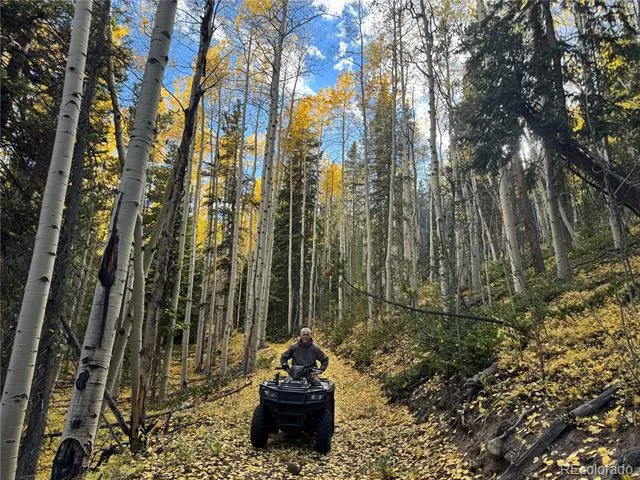 1430 Lower Travis Gulch Road Black Hawk, CO 80422