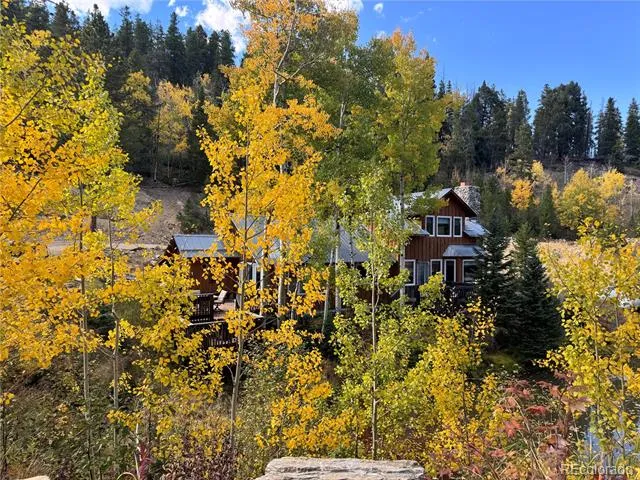 1430 Lower Travis Gulch Road Black Hawk, CO 80422