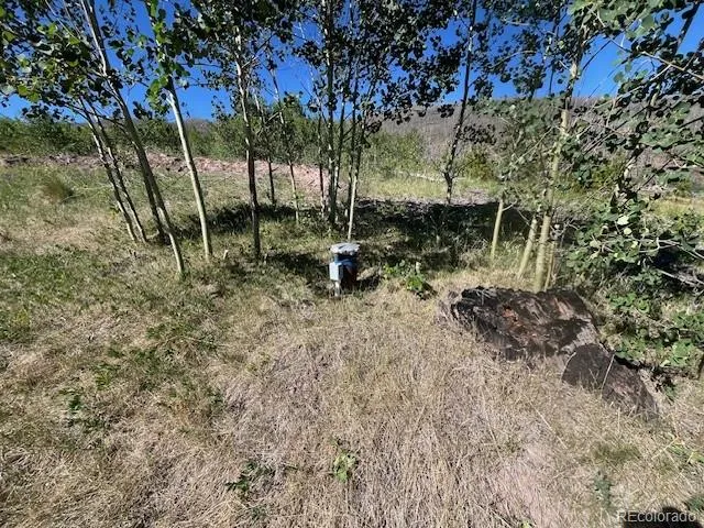 906 Huntington Lane Fort Garland, CO 81133