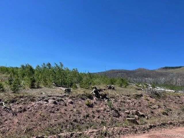 906 Huntington Lane Fort Garland, CO 81133