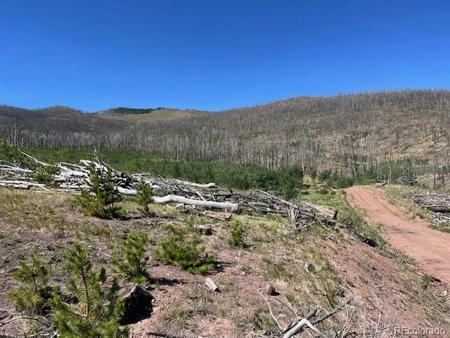 906 Huntington Lane Fort Garland, CO 81133