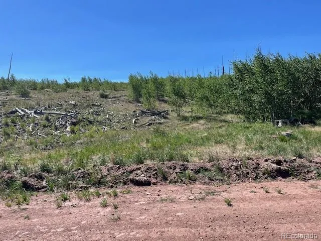 906 Huntington Lane Fort Garland, CO 81133