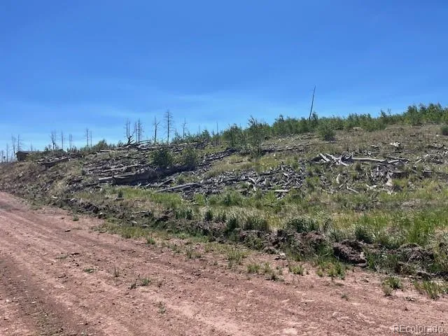 906 Huntington Lane Fort Garland, CO 81133
