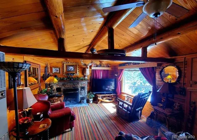 22585 County Road 292 Nathrop, CO 81236