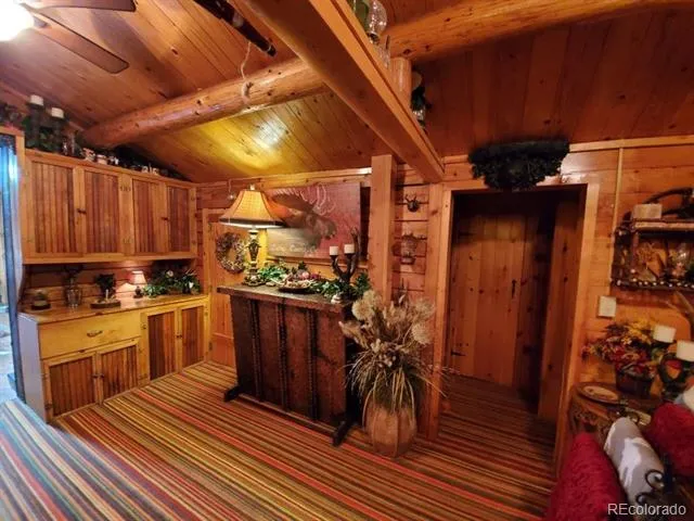 22585 County Road 292 Nathrop, CO 81236