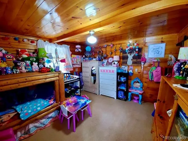 22585 County Road 292 Nathrop, CO 81236